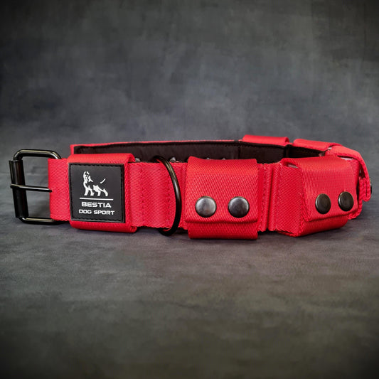 Weighted dog training collar- Red. Large breeds. 5 lbs total. removable weights